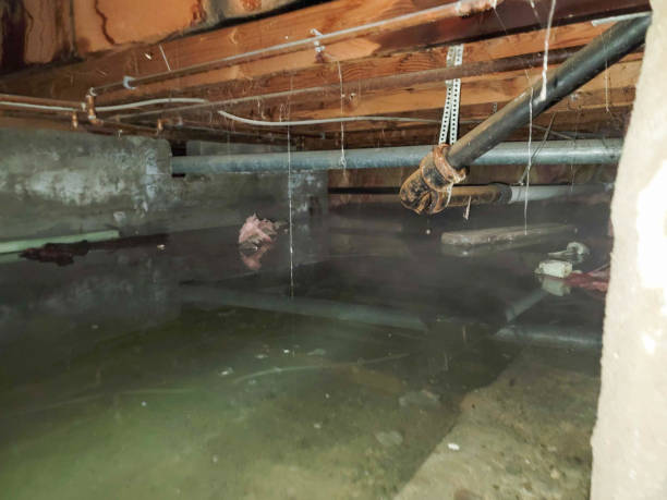 Best Commercial water damage restoration  in Alanuk, AK