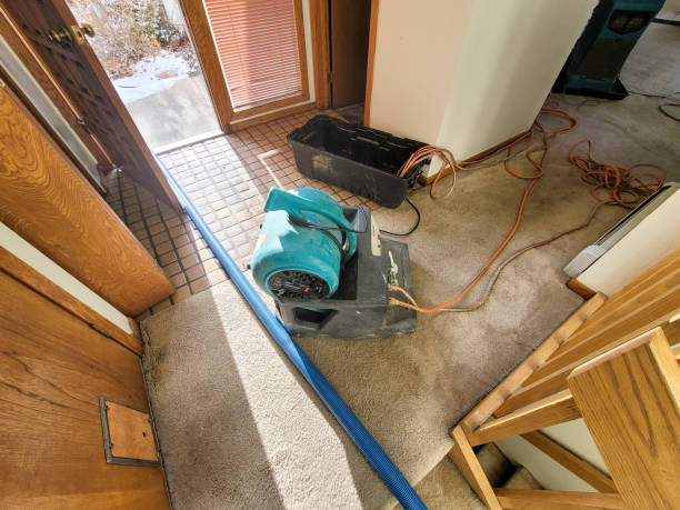24/7 water damage repair in AK