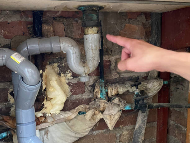 Best Water damage restoration near me  in Alanuk, AK