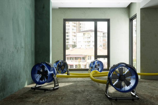 Best Ceiling water damage repair  in Alanuk, AK
