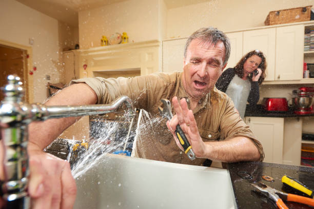 Best Water damage contractors near me  in Alanuk, AK